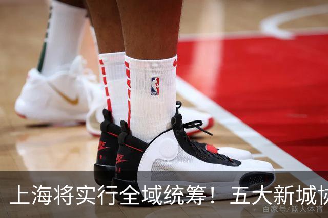 上海将实行全域统筹！五大新城协同建设，超大城市格局更上一层楼
